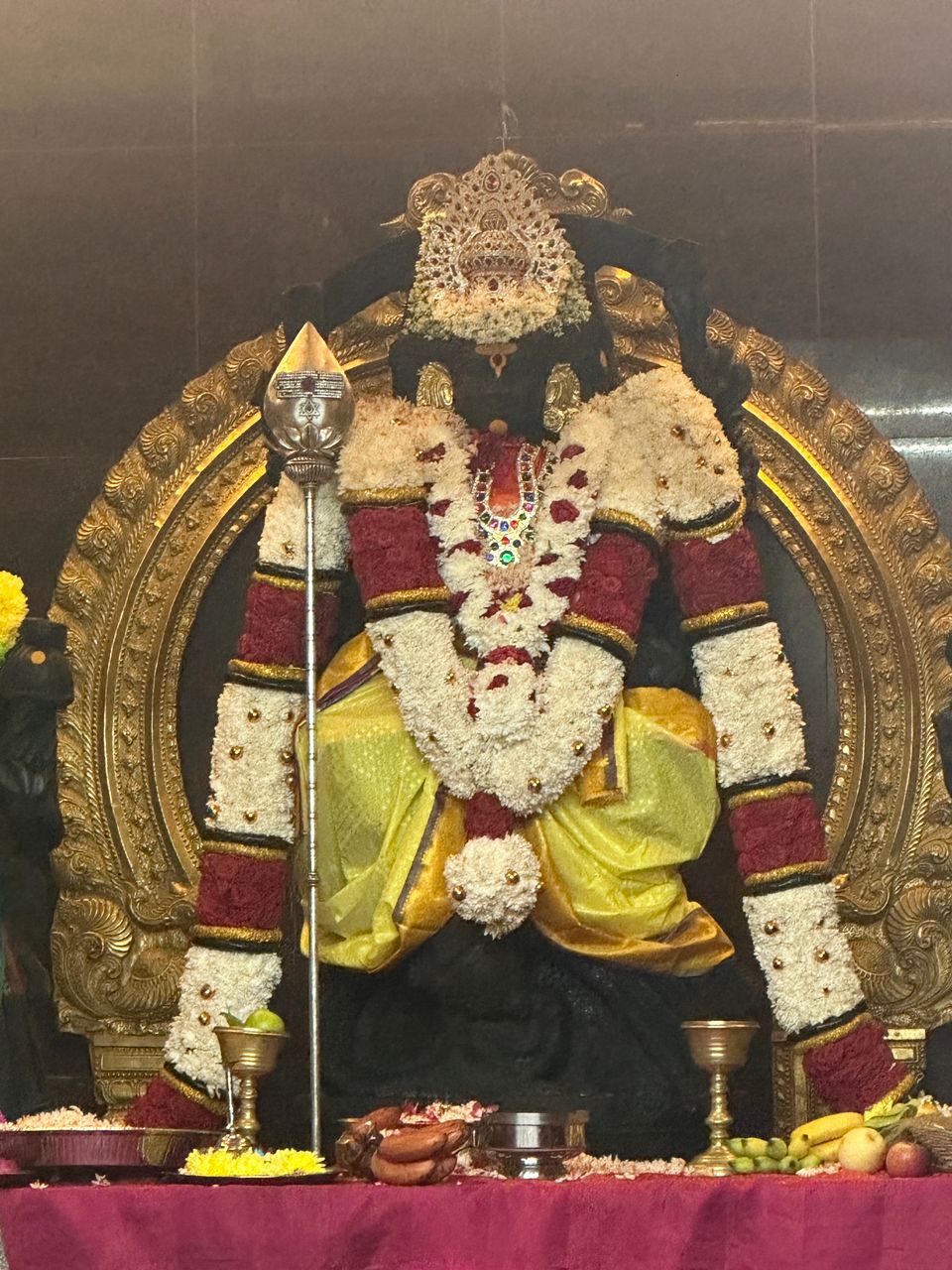 மாக் மண்டின் முருகன் ஆலயத்தில் திரு பார்திபன் குடும்பத்தின் உபயம் சிறப்பாக நடைபெற்றது.